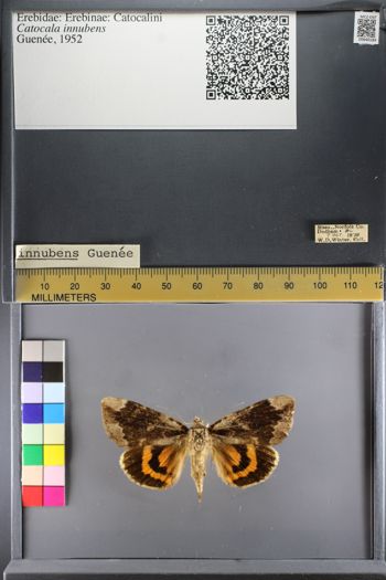 Media type: image;   Entomology 640184